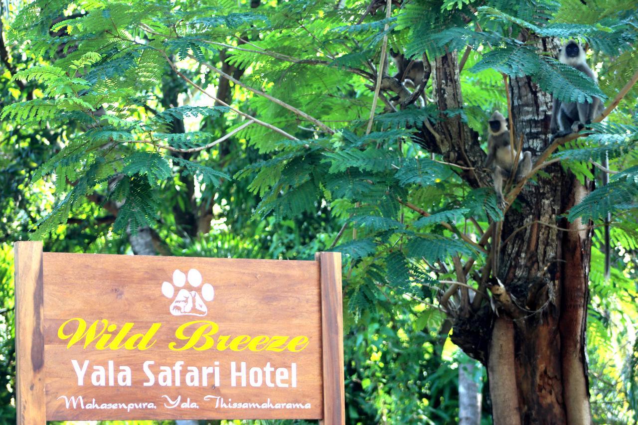 Hotel Wild Breeze Tissamaharama Exteriér fotografie